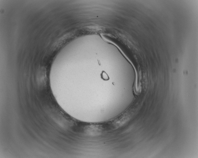 X0000081290320200701251659