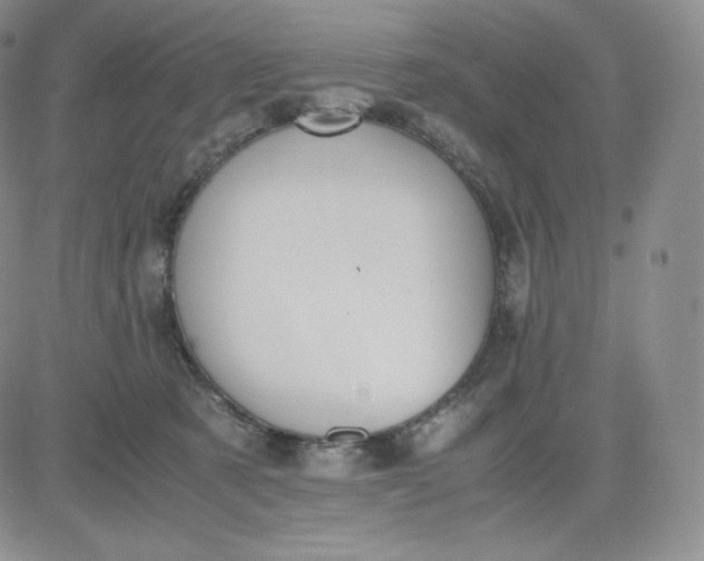 X0000081290321200701251659