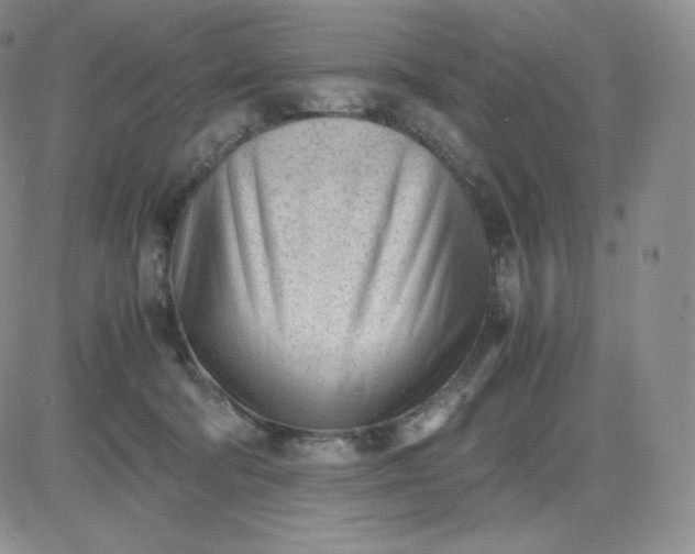 X0000081290322200701251659