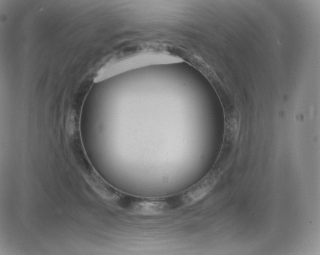 X0000081290323200701251659