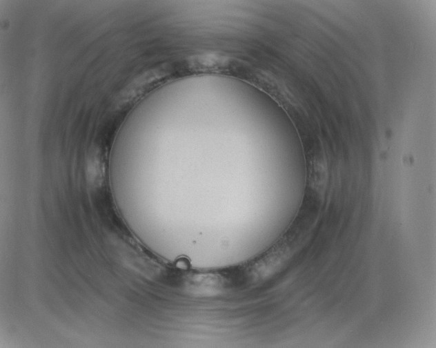 X0000081290324200701251659