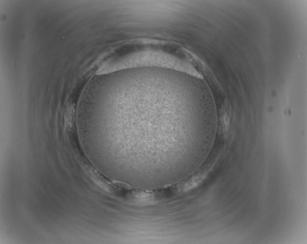 X0000081290325200701251659