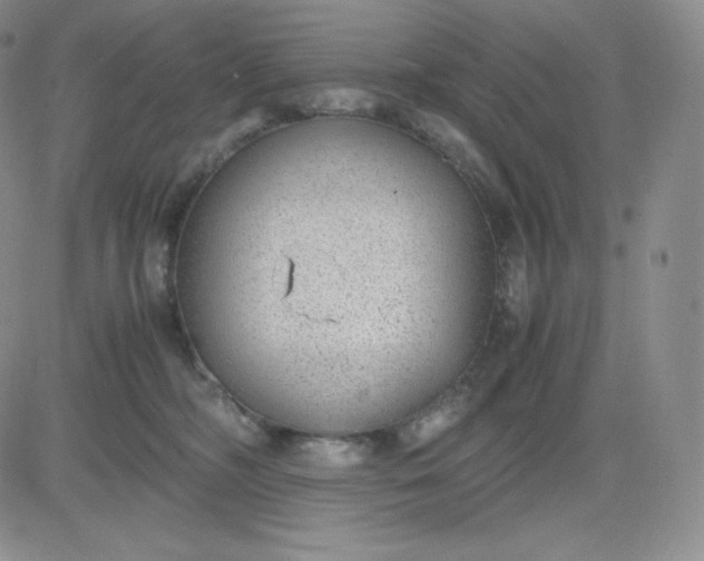 X0000081290326200701251659