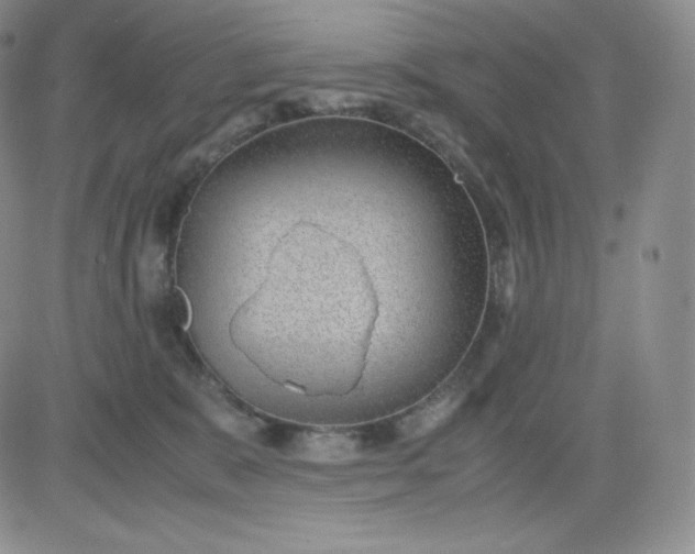 X0000081290327200701251659