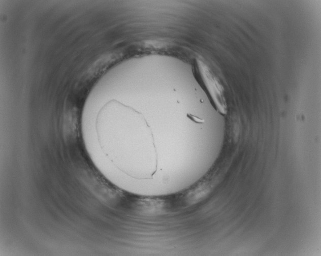 X0000081290328200701251659