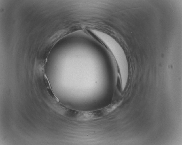 X0000081290329200701251659