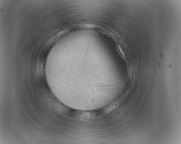 X0000081290330200701251659