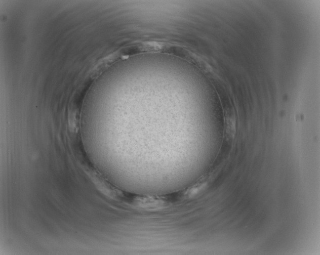 X0000081290331200701251659