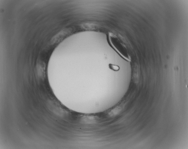 X0000081290332200701251659