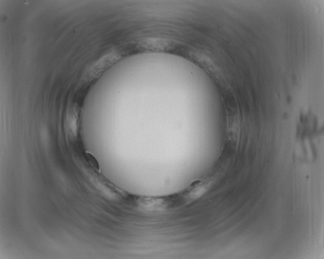 X0000081290334200701251659