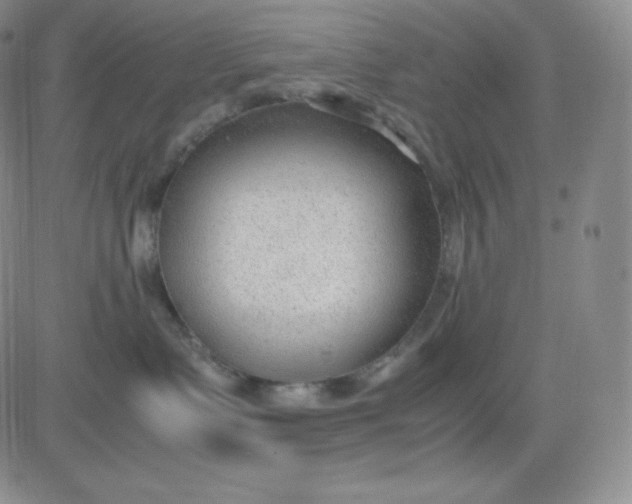 X0000081290335200701251659