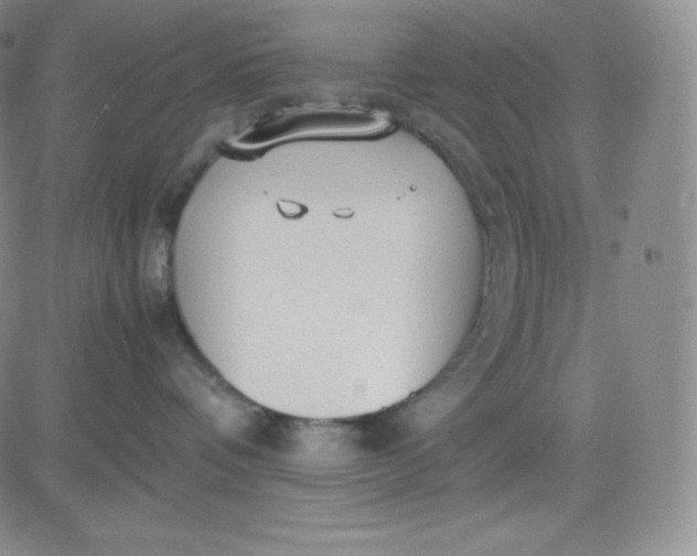 X0000081290336200701251659