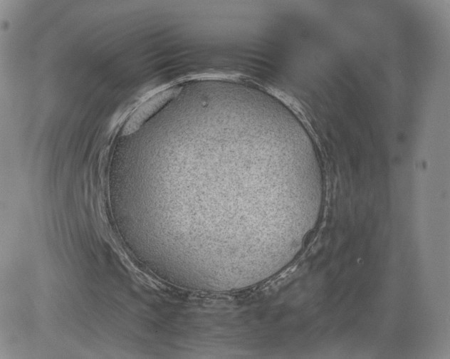 X0000081290337200701251658