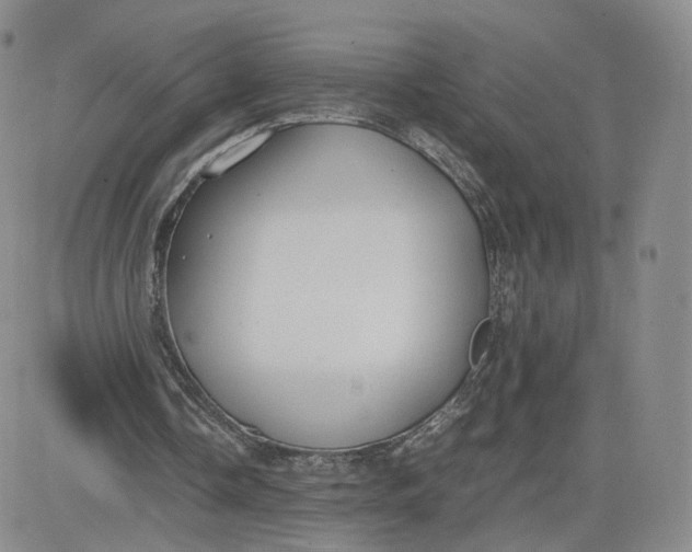 X0000081290338200701251658