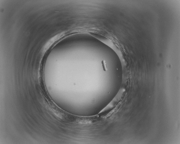 X0000081290340200701251658