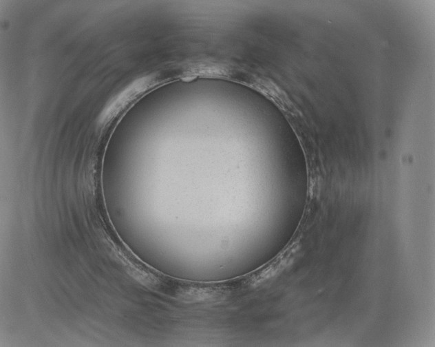 X0000081290341200701251658