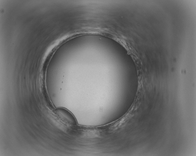 X0000081290342200701251658