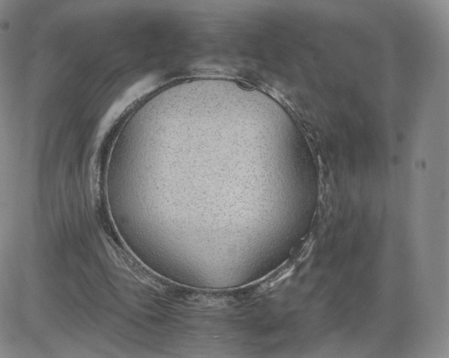 X0000081290343200701251658