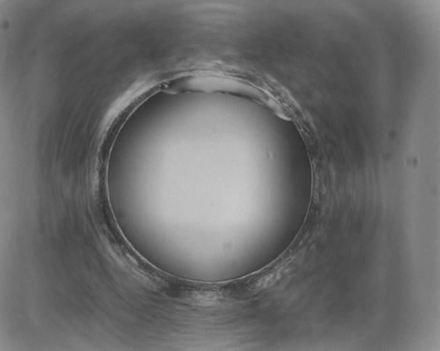 X0000081290344200701251658