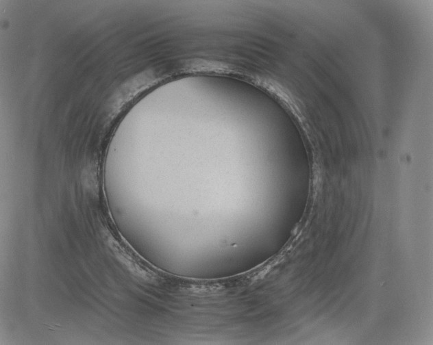 X0000081290345200701251658