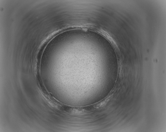 X0000081290346200701251658