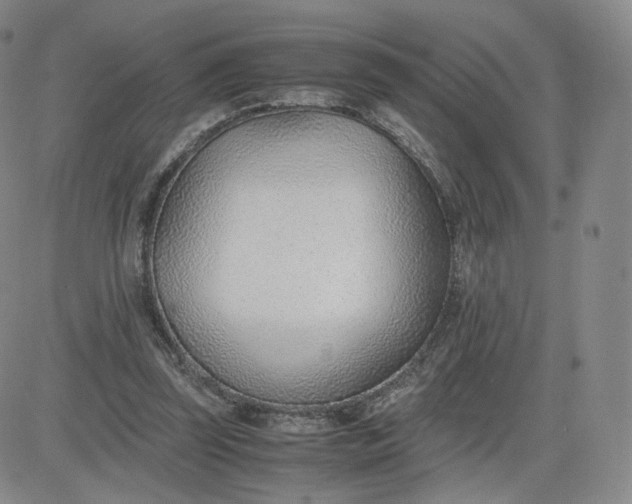 X0000081290347200701251658