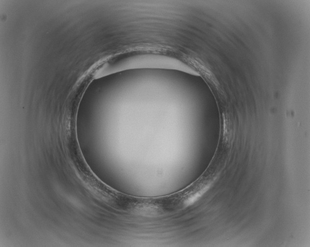 X0000081290348200701251658