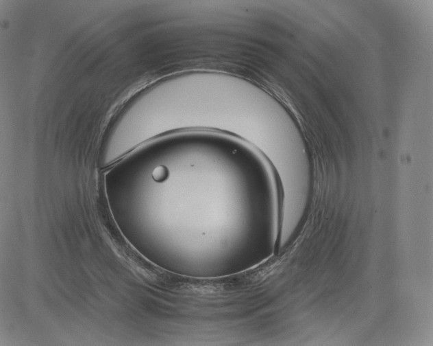 X0000081290349200701251658