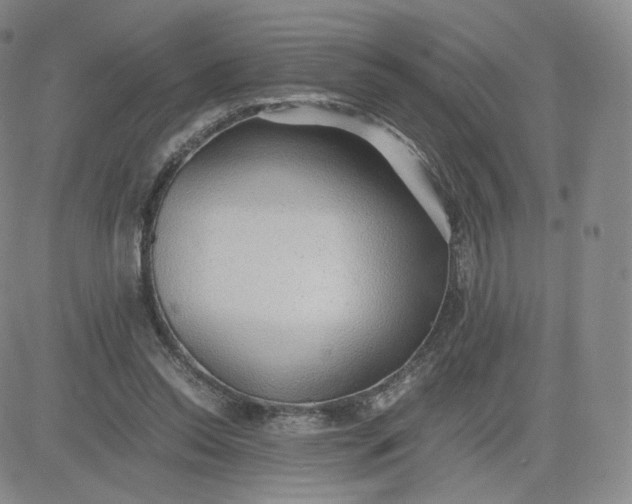 X0000081290350200701251658