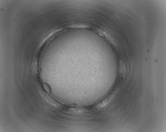 X0000081290351200701251658