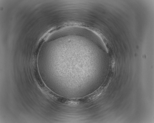 X0000081290352200701251658