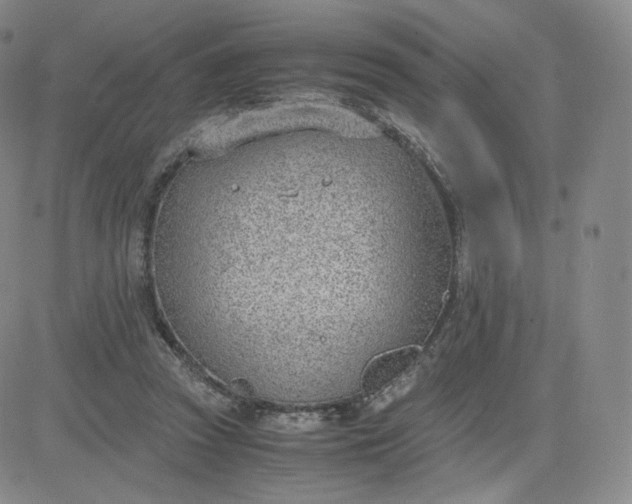 X0000081290353200701251658