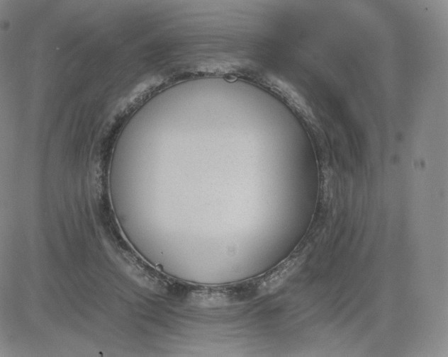 X0000081290354200701251658