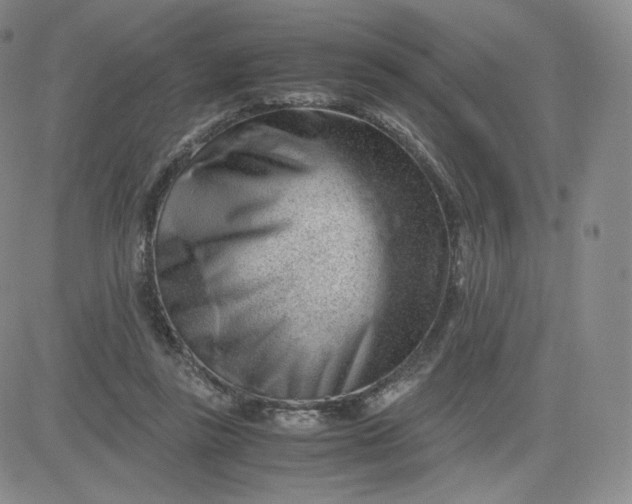 X0000081290355200701251658