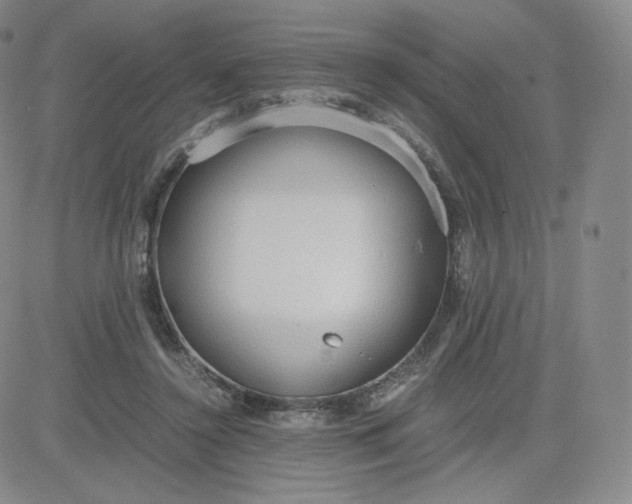 X0000081290356200701251658