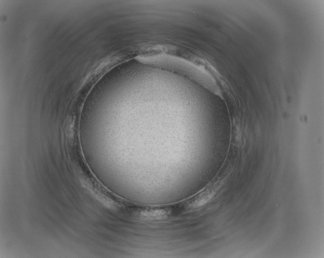 X0000081290357200701251658