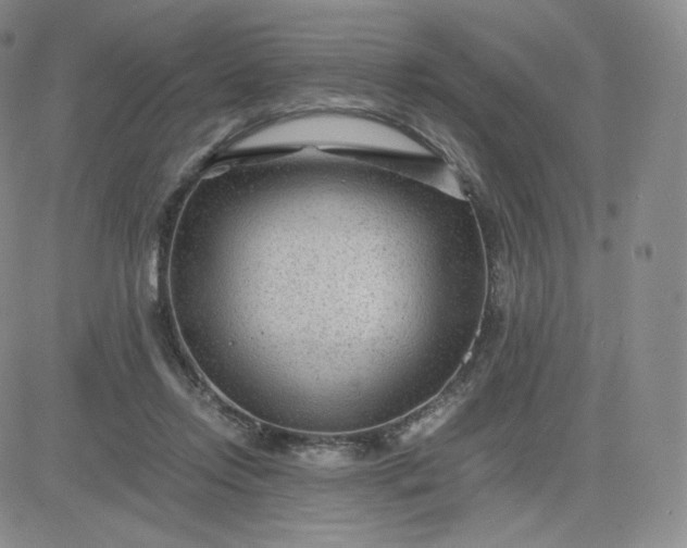 X0000081290358200701251658