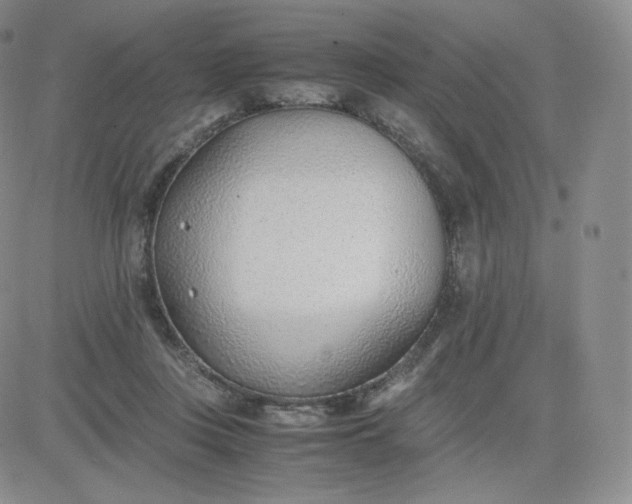 X0000081290359200701251658