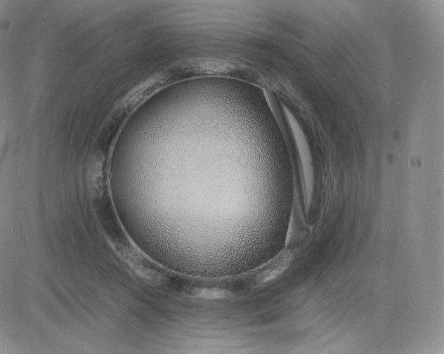 X0000081290360200701251658