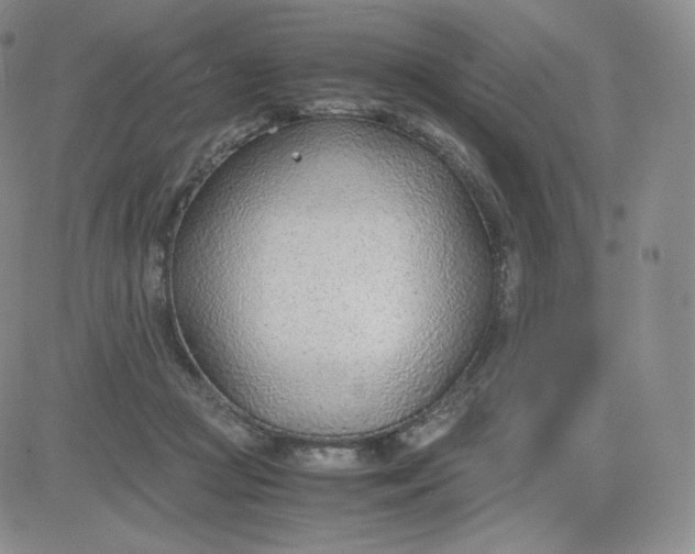 X0000081290361200701251659