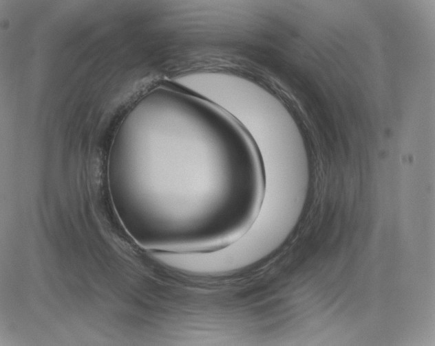 X0000081290362200701251659