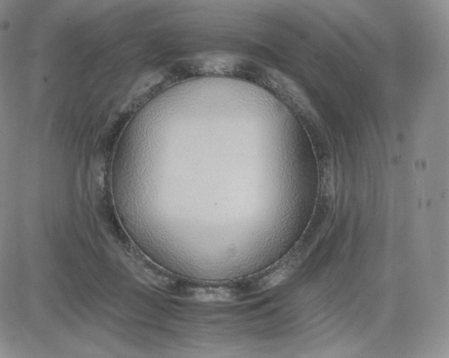 X0000081290363200701251659