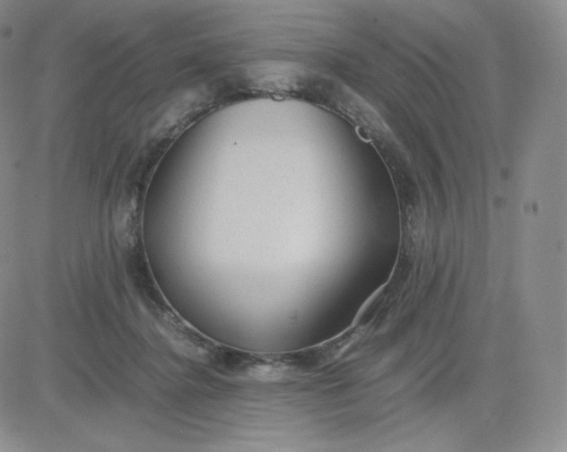 X0000081290364200701251659