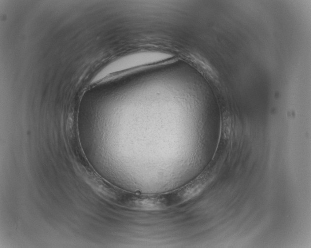 X0000081290365200701251659