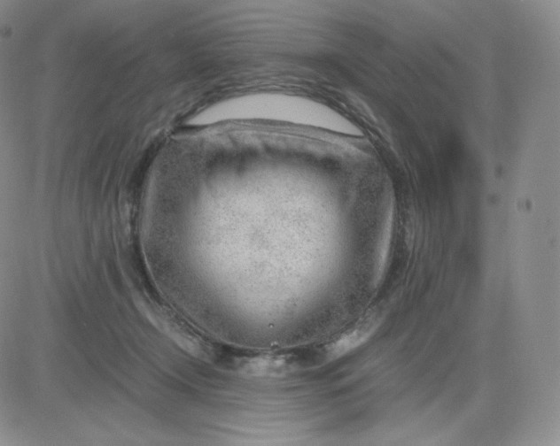 X0000081290366200701251659