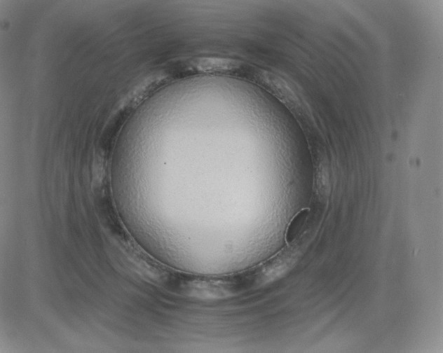 X0000081290367200701251659