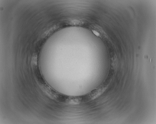 X0000081290368200701251659