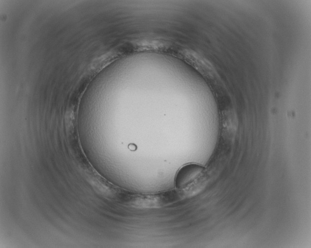 X0000081290369200701251659