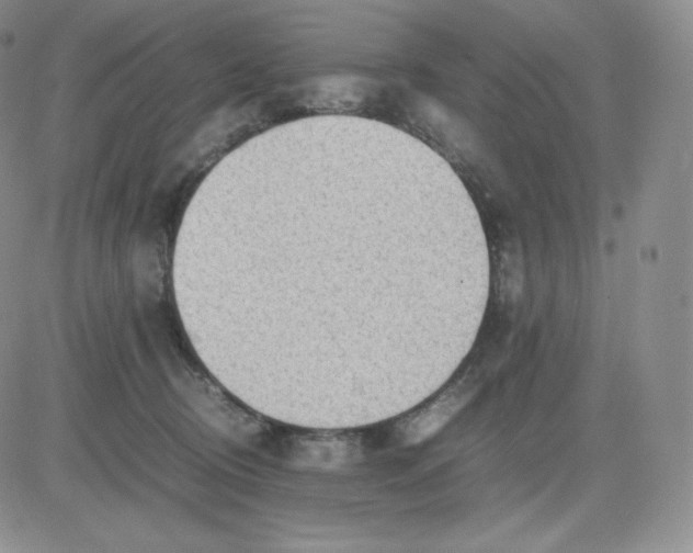 X0000081290370200701251659