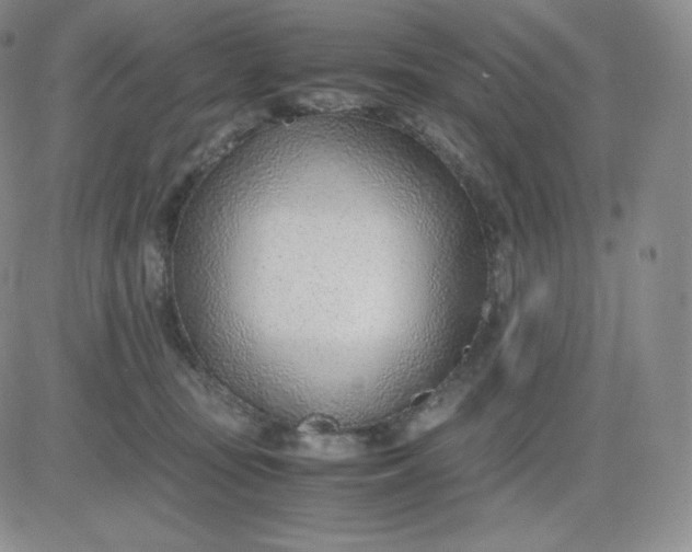 X0000081290371200701251659